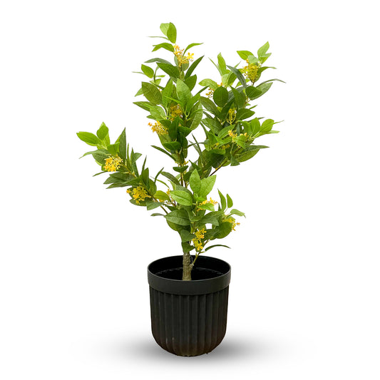 Faux Lemon Tree – 3ft Realistic Indoor Decor