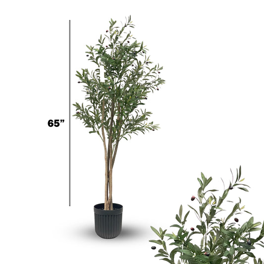 Olive Tree – 65" Mediterranean-Inspired Indoor Decor