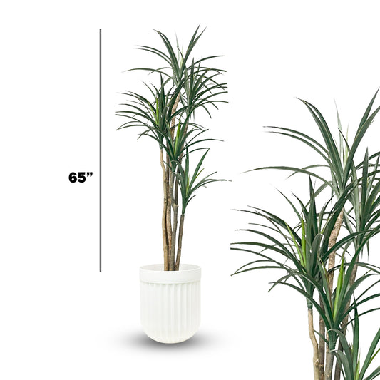 Faux Dracaena Tree – 65" Tall Modern Indoor Greenery