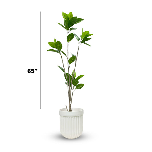 Sama Home Faux Ficus Tree – 65" Elegant Indoor Greenery