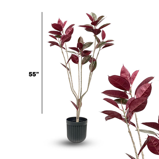 Faux Burgundy Ficus Tree – 55" Tall Designer Indoor Accent